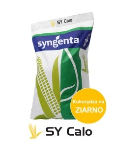 SY Calo (1 js) – Kukurydza na ziarno – FAO 220-230 – Wariant Elevation Plus