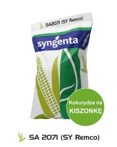 SA 2071 (SY Remco) (1 js) – Kukurydza na kiszonkę – FAO 250